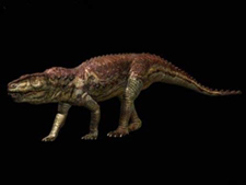 Postosuchus